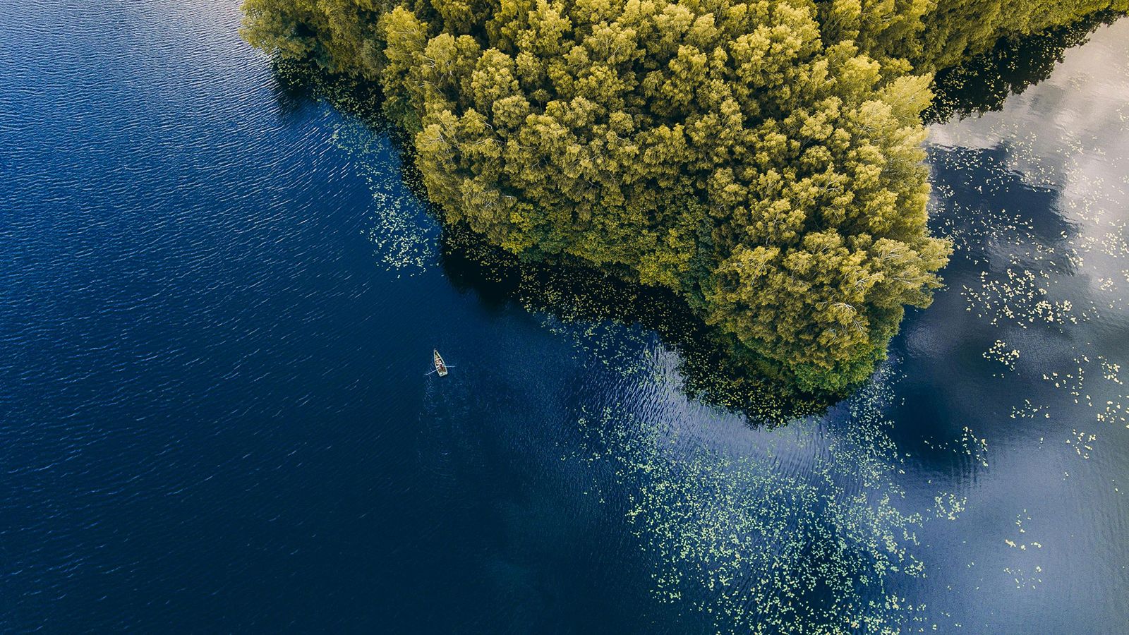 Reizen naar Litouwen | Ontdek de verborgen parel van de Baltische staten