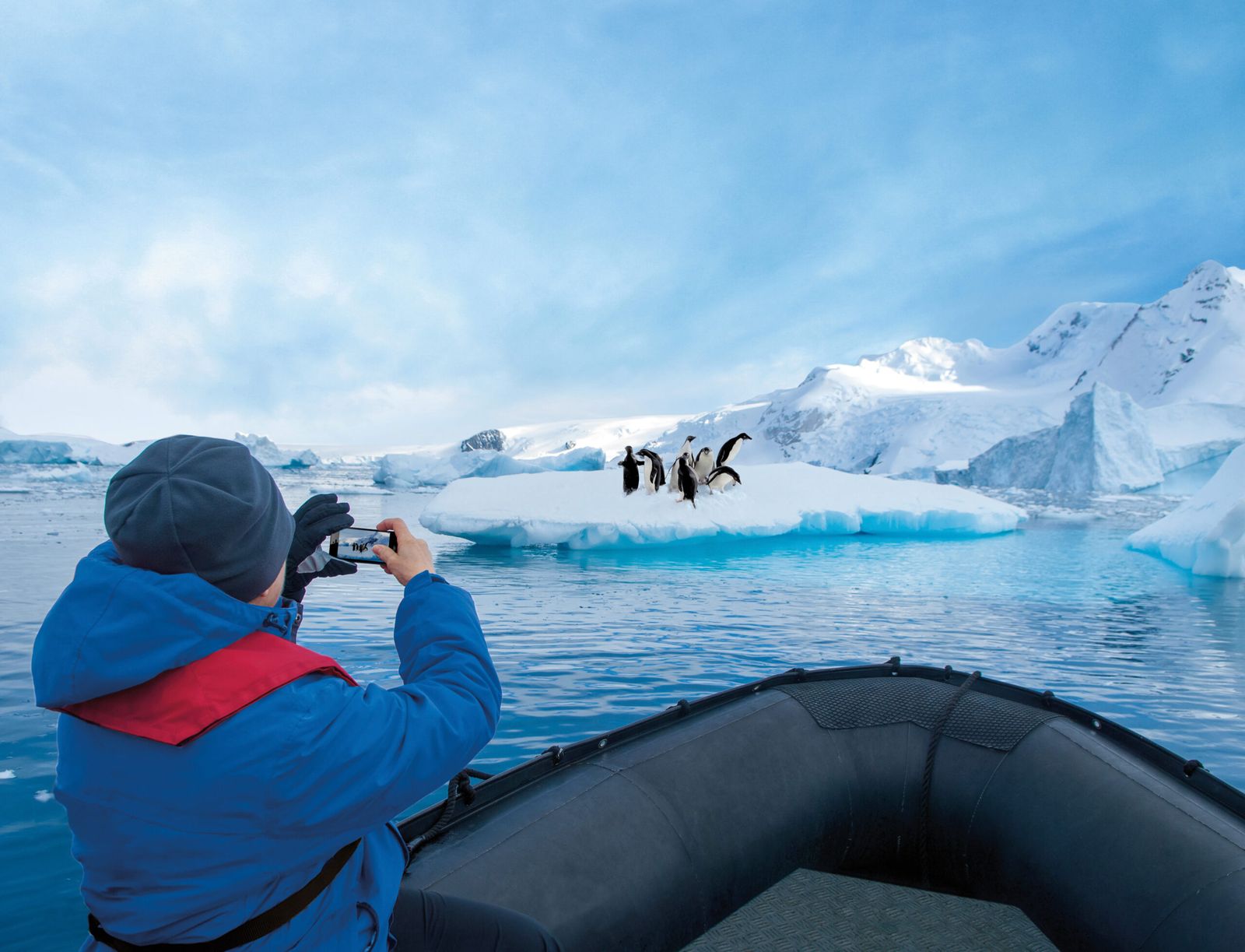 Expeditie Antarctica 20 dagen in 2027: Intense Wereld van Wildlife