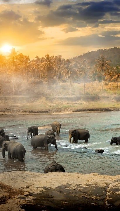 Rondreis Sri Lanka & Malediven – 18 dagen