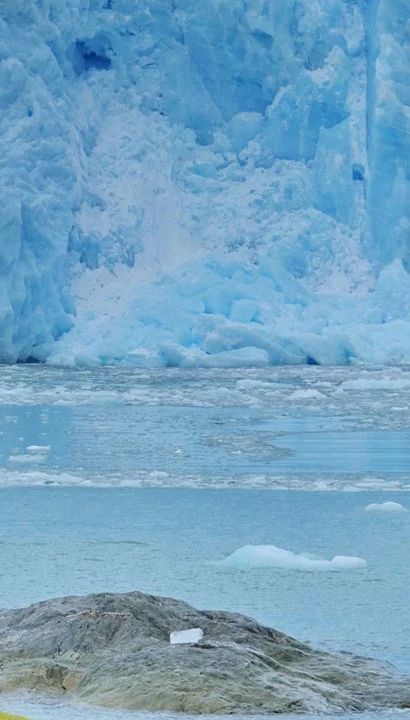 Expeditie cruise Chileense Fjorden - Chili en Argentinië