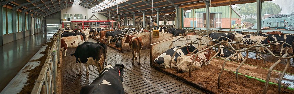 ECO-Vloer bij Arie van Eck in Everdingen