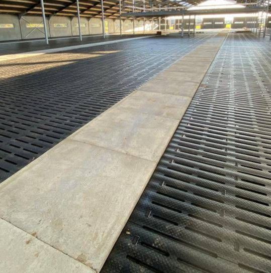 Bodenplatten für Kälberställe