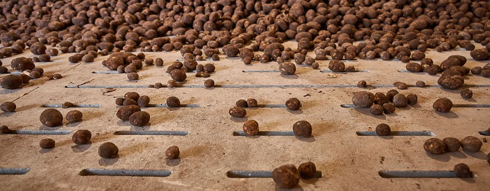Voedselbewaring