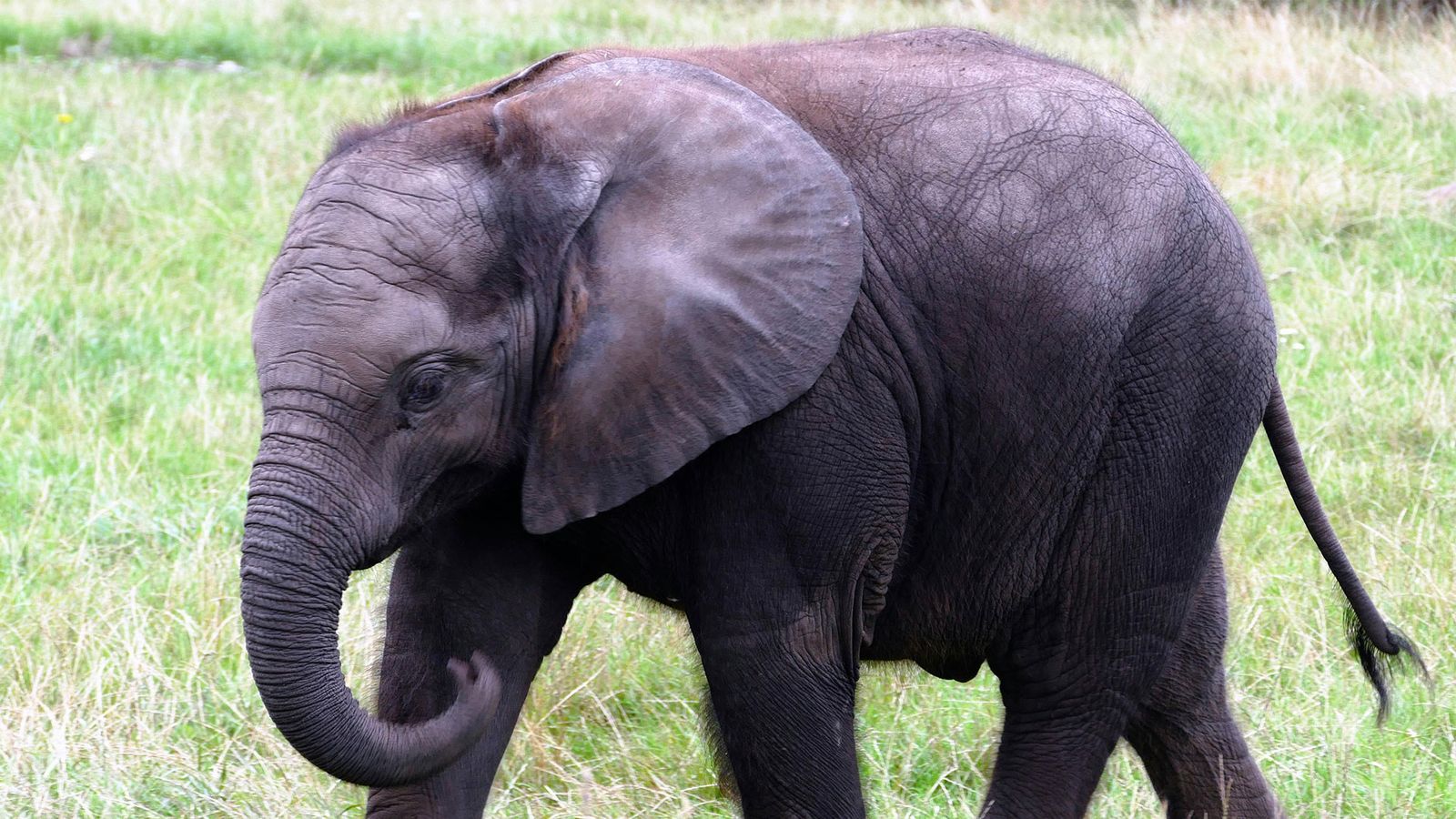 Reizen naar Botswana | Ontdek safari's en natuur op maat