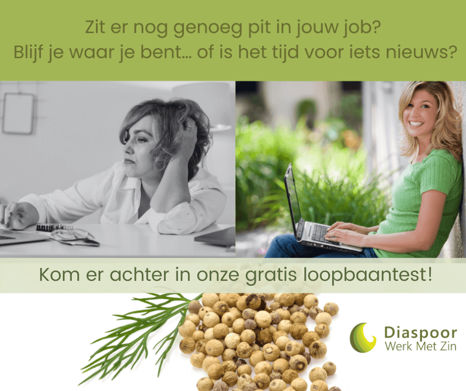 Heb jij loopbaanvragen?