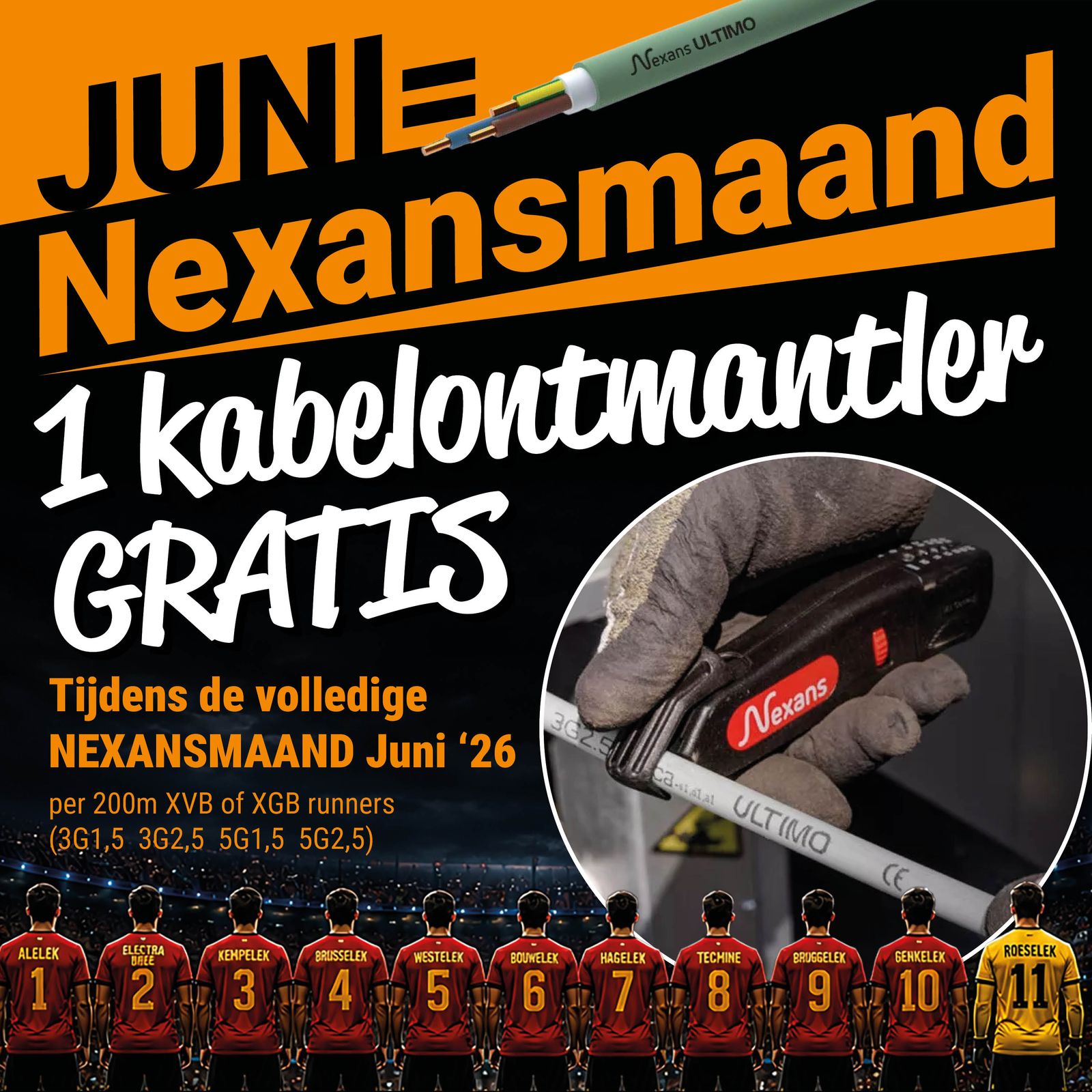 ALELEK Nexansmaand-1080x10802.jpg