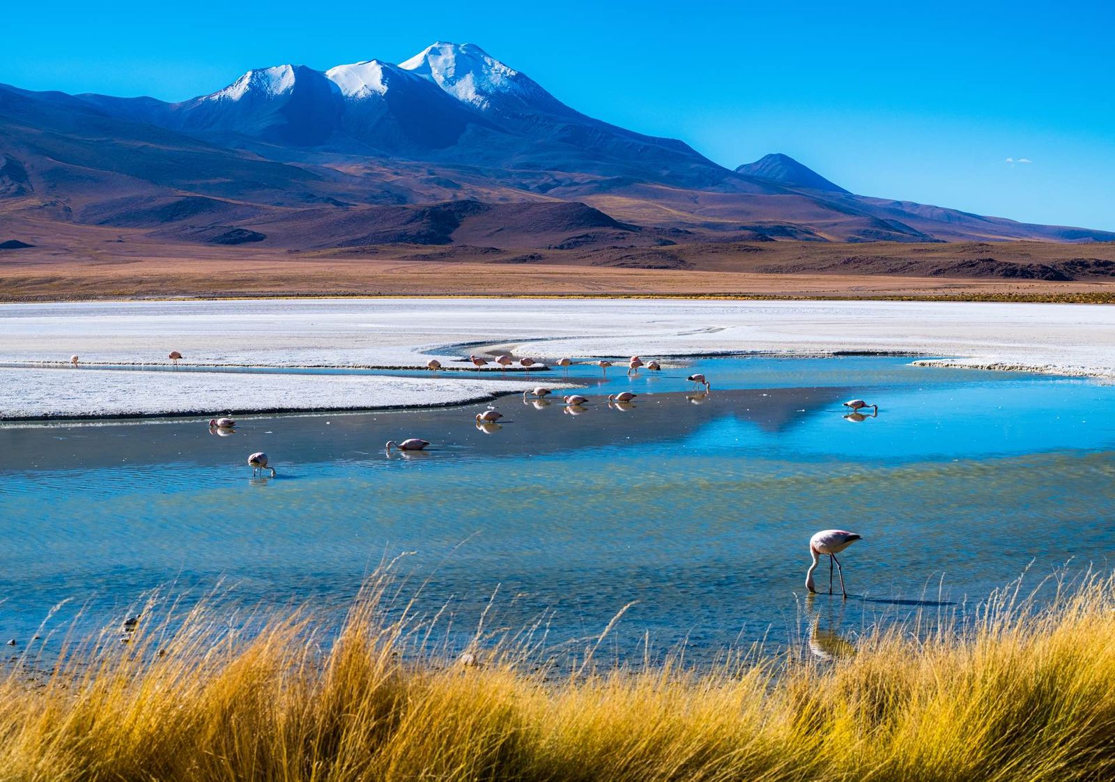 Bolivië