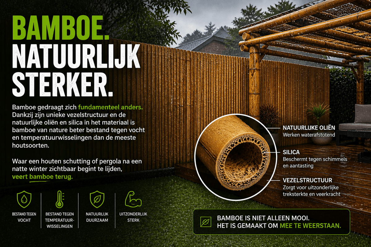 Ontdek Bamboe België - Bamboe Materialen van de Hoogste Kwaliteit