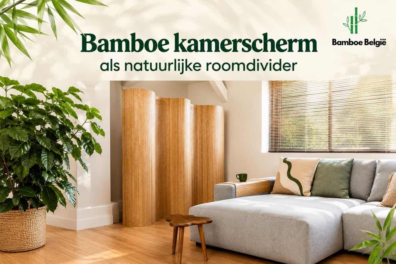 Ontdek onze bamboe kamerschermen