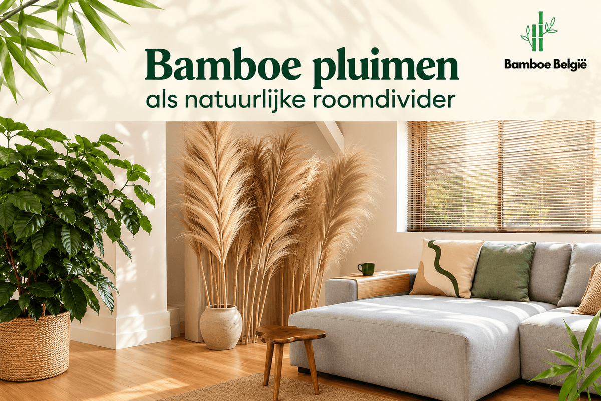 Bamboe pluimen als decoratie in uw woonkamer