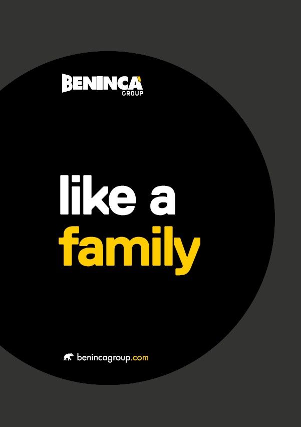 BENINCÀ GROUP