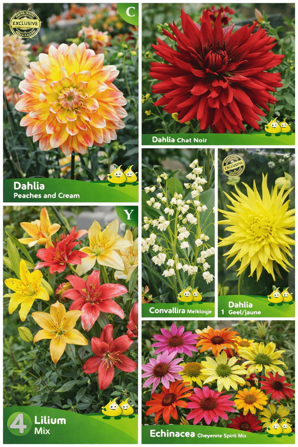 ๐ท Voorjaarsbollen planten: een kleurrijke zomertuin