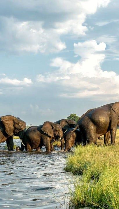 18-daagse rondreis door Namibië, Botswana & Zimbabwe - Met de Stromen mee