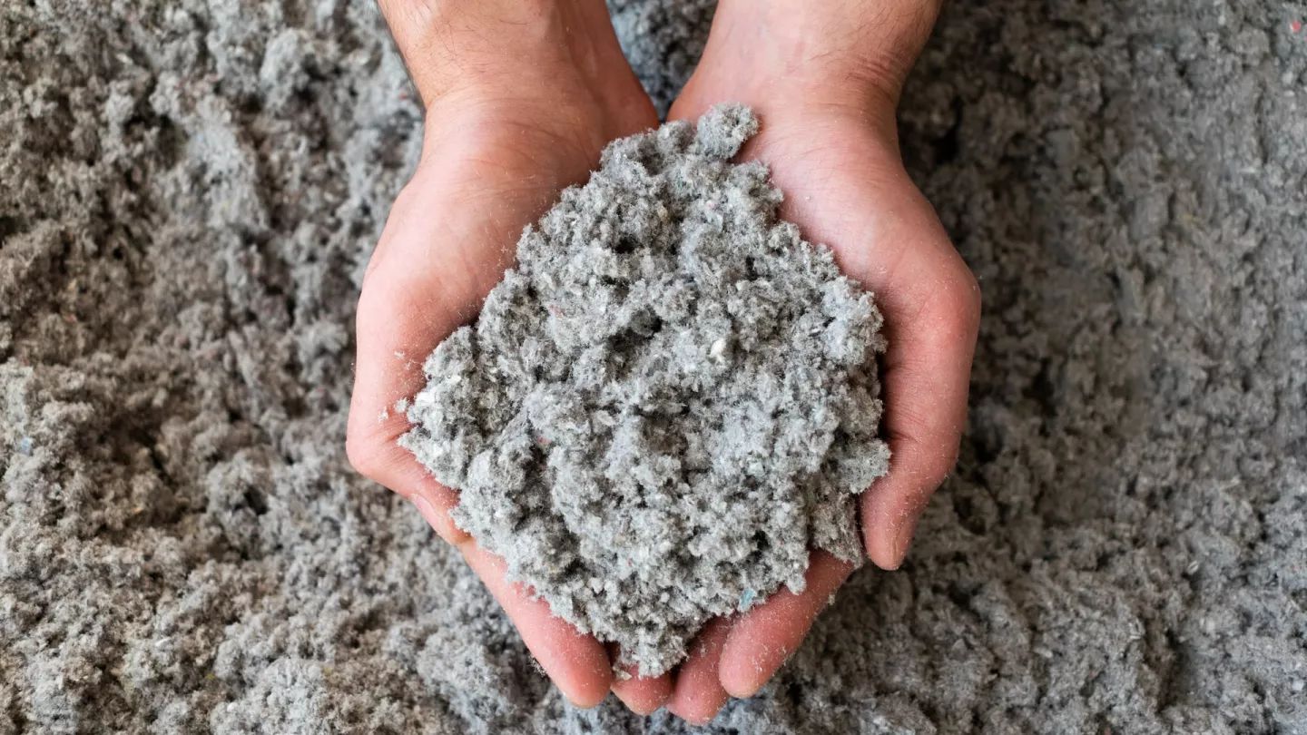 iQ3 cellulose
