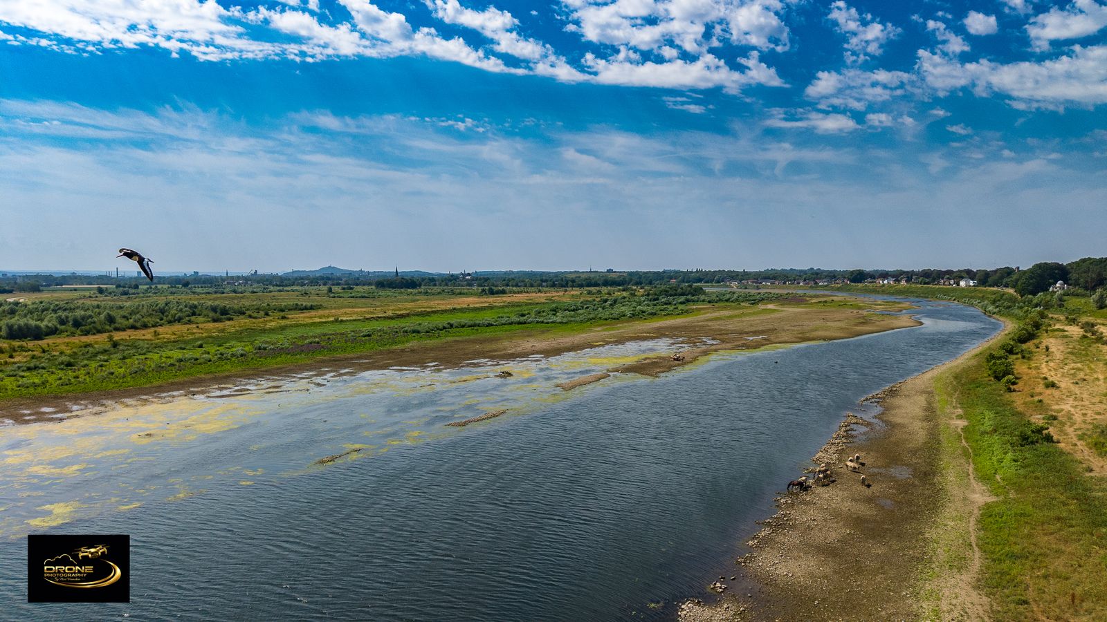 Natuurbeleving bij Kajak Maasland