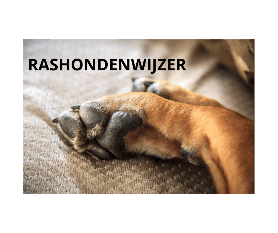 De rashondenwijzer van Dier & Recht