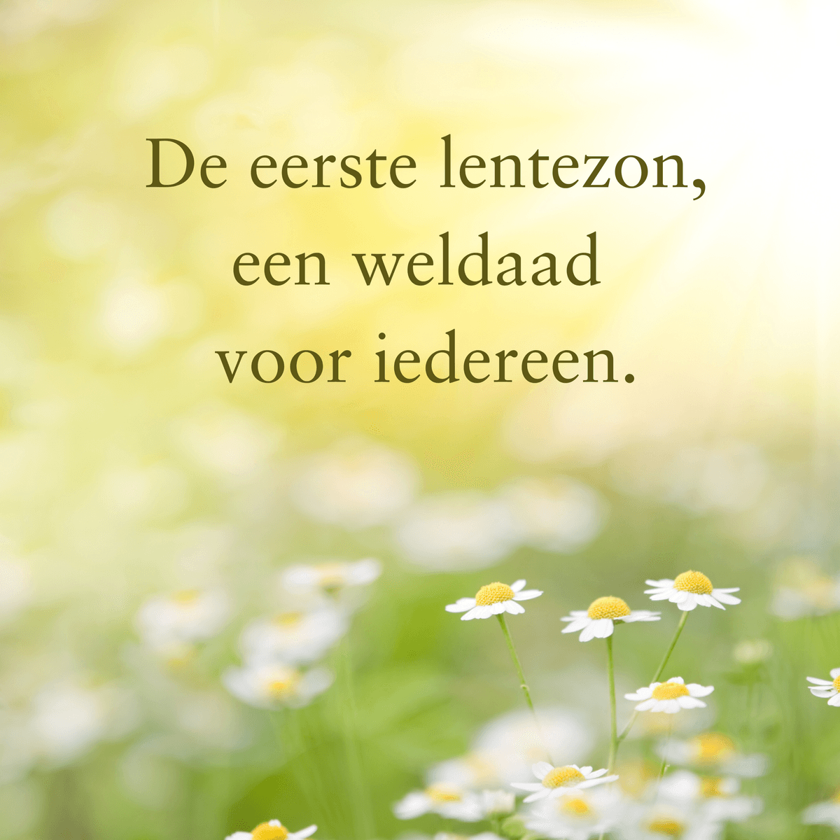 Daar is de lente, daar is de zon...