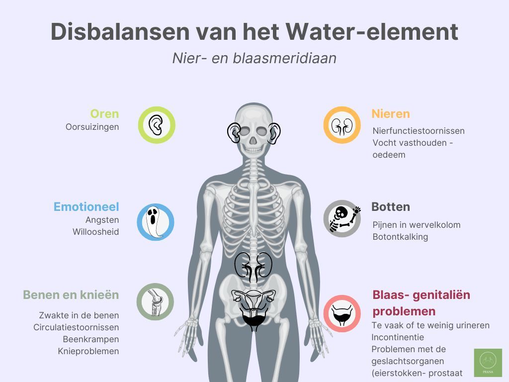 Relatie tussen fysieke, emotionele en psychische klachten binnen het water-element. Deze afbeelding is afkomstig uit de online training van de thermische werking van voeding