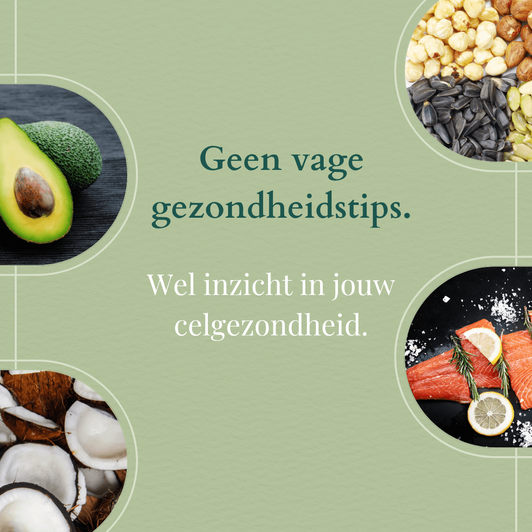 Wat vertelt jouw vetzuurprofiel over je celgezondheid?