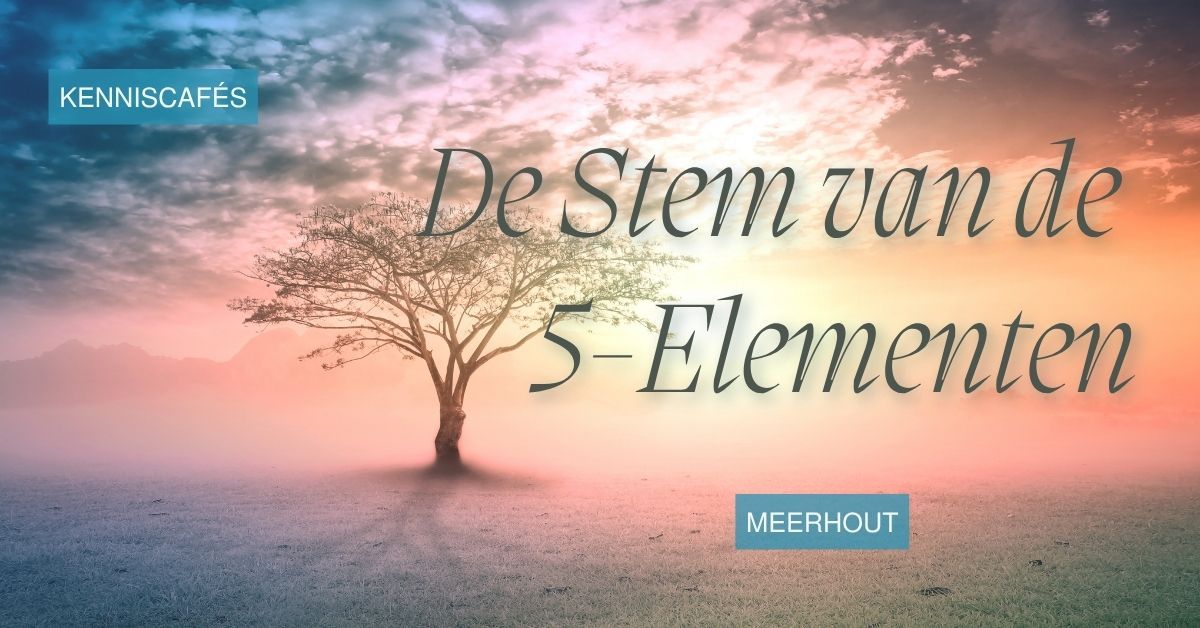 Kenniscafés “De stem van de elementen”: leer je lichaam beter begrijpen