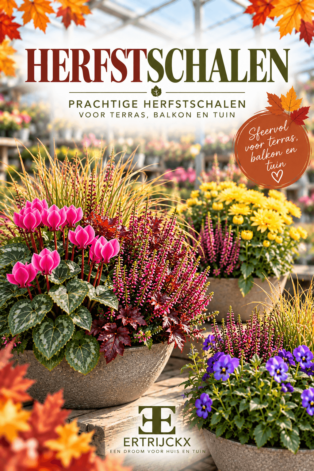 Herfstschalen: kleur en sfeer voor het najaar