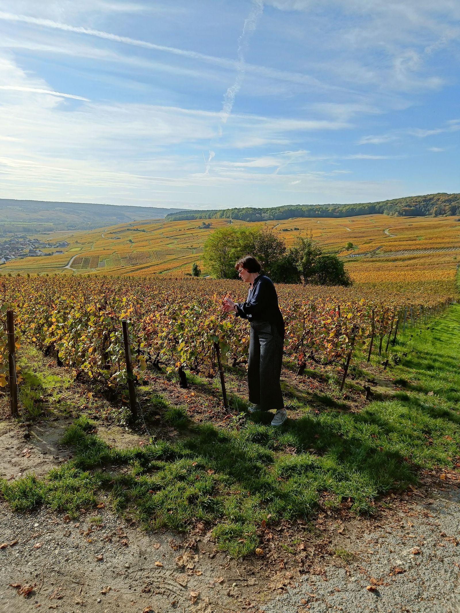 Herfst in de Champagne.jpg