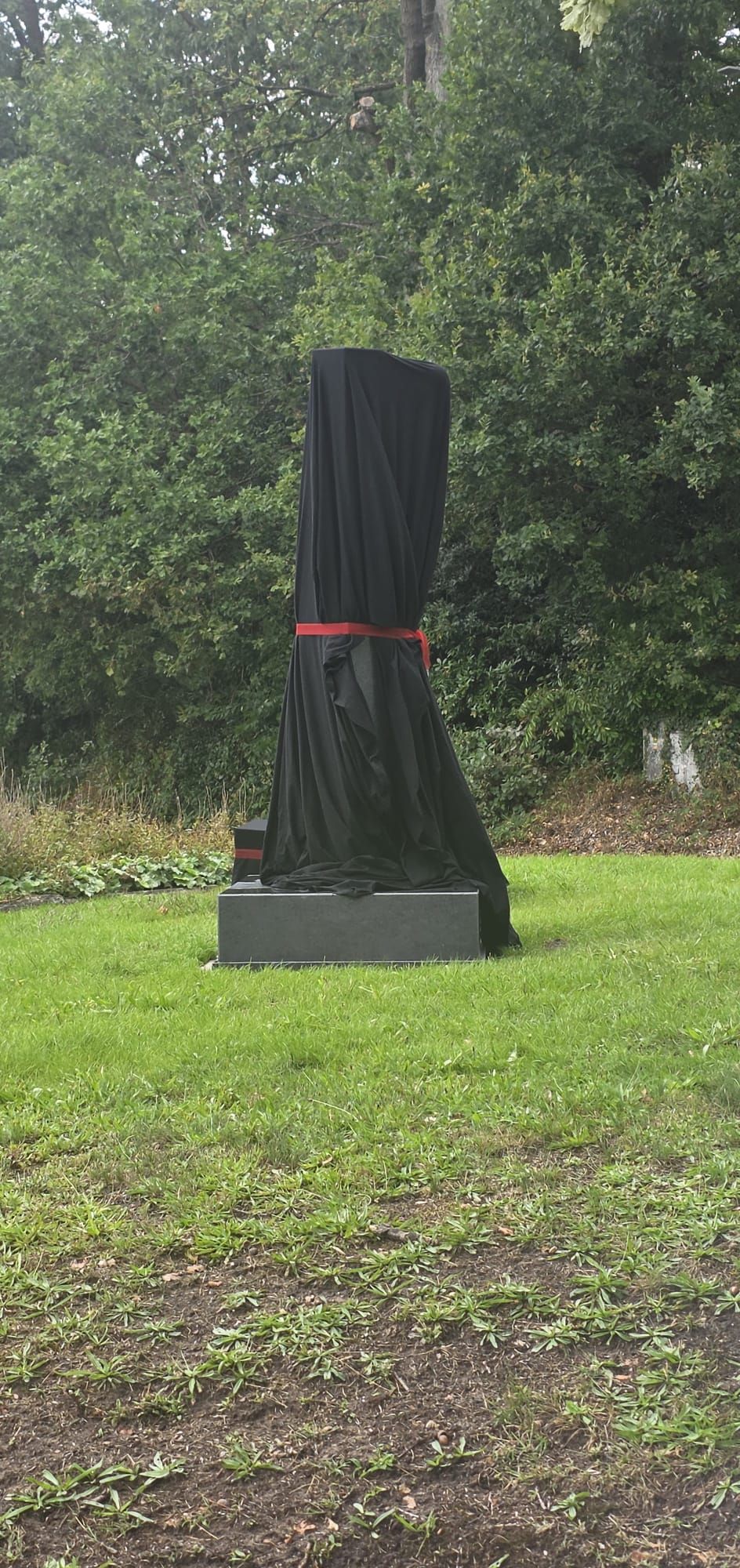Selected Image