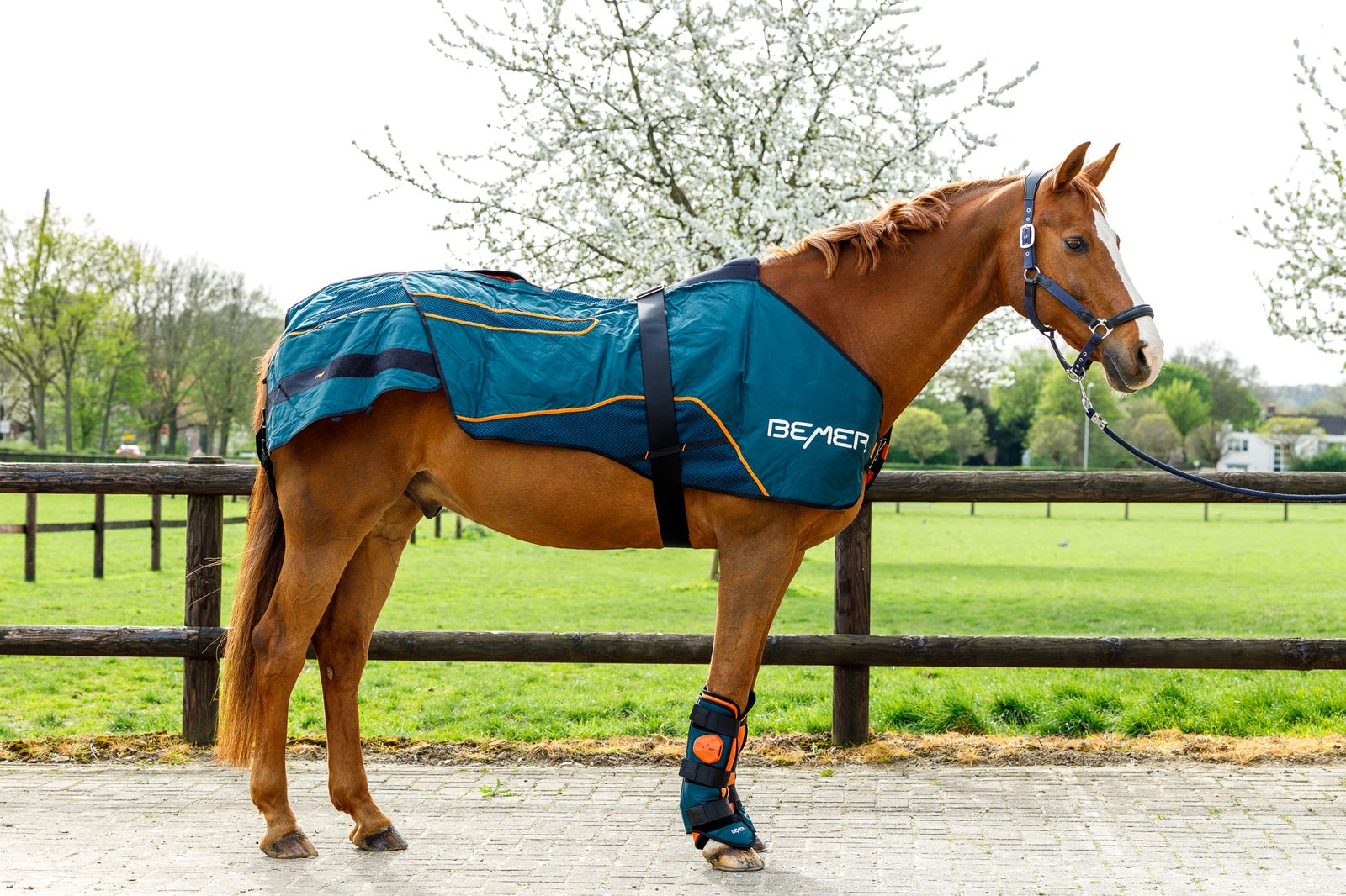 Innovatieve Bemer dekens bij Emmers Equestrian: comfort en therapie voor uw paard
