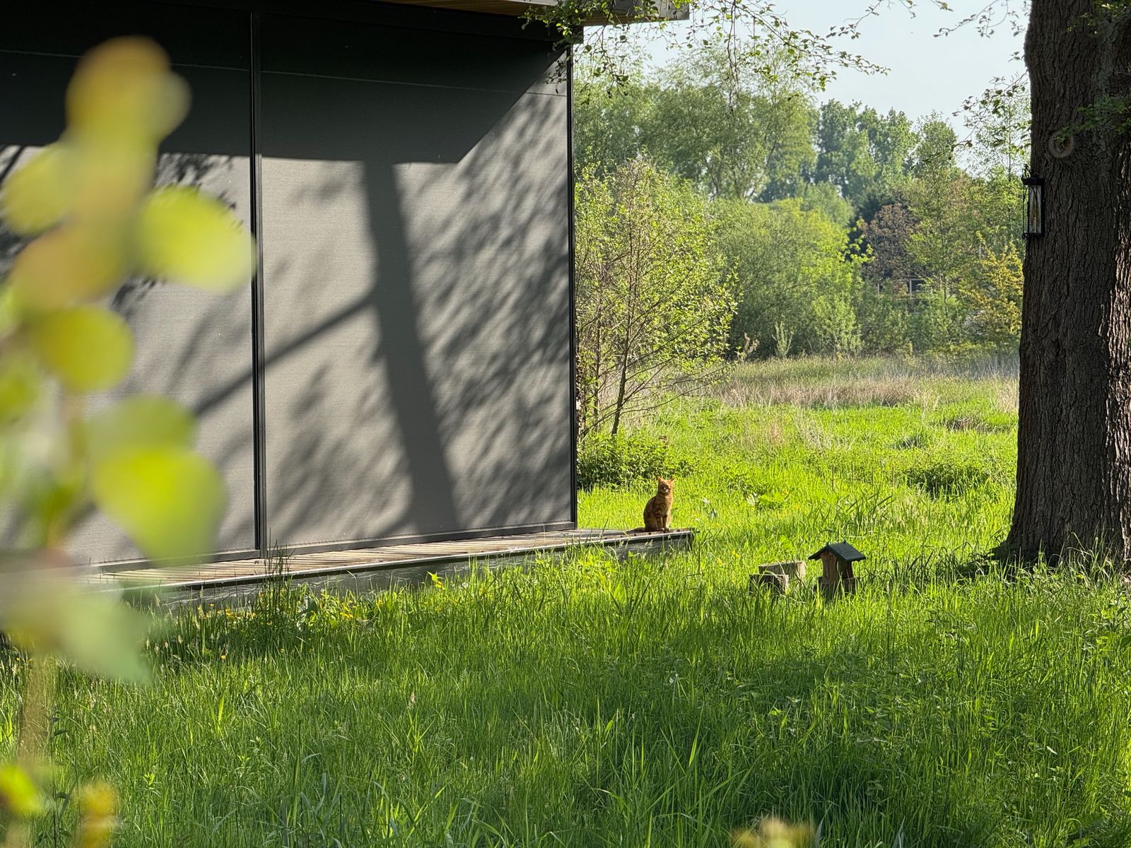 Zonwerende buitenscreens houden warmte en storende lichtinval buiten in moderne woningen en gebouwen met grote glaspartijen. Bespaar nu meer dan 180 euro per screen! (Check wel even de actievoorwaarden hierboven.)