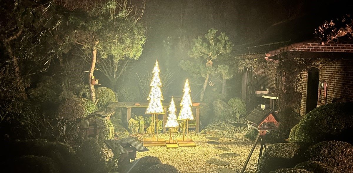 Kerstdecoratie-3verlichte-boompjes-luzy (5).jpg