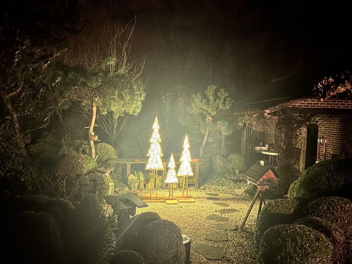 Kerstdecoratie-3verlichte-boompjes-luzy (6).jpg