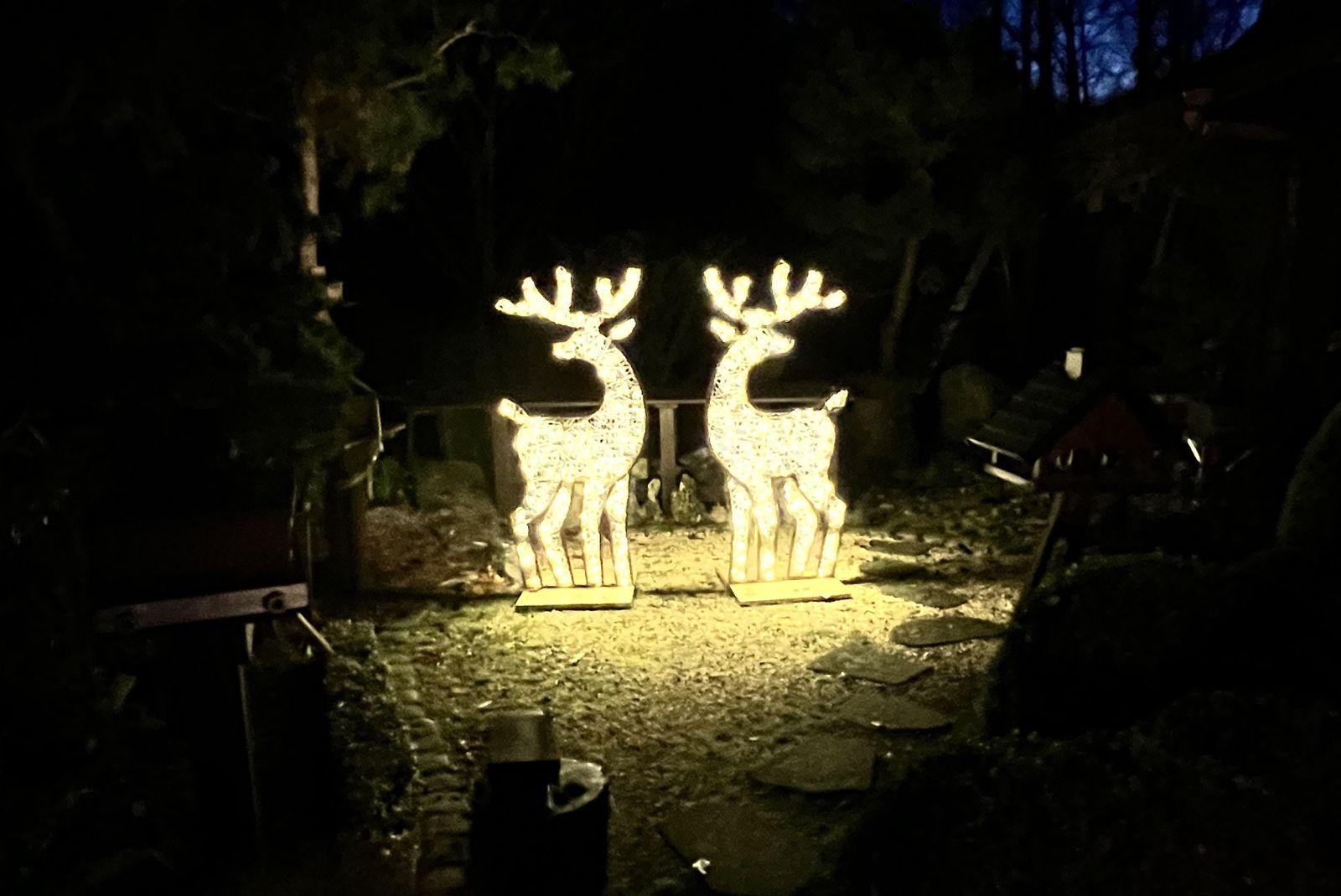 Kerstdecoratie-verlicht-rendier-Woodford (3).jpg