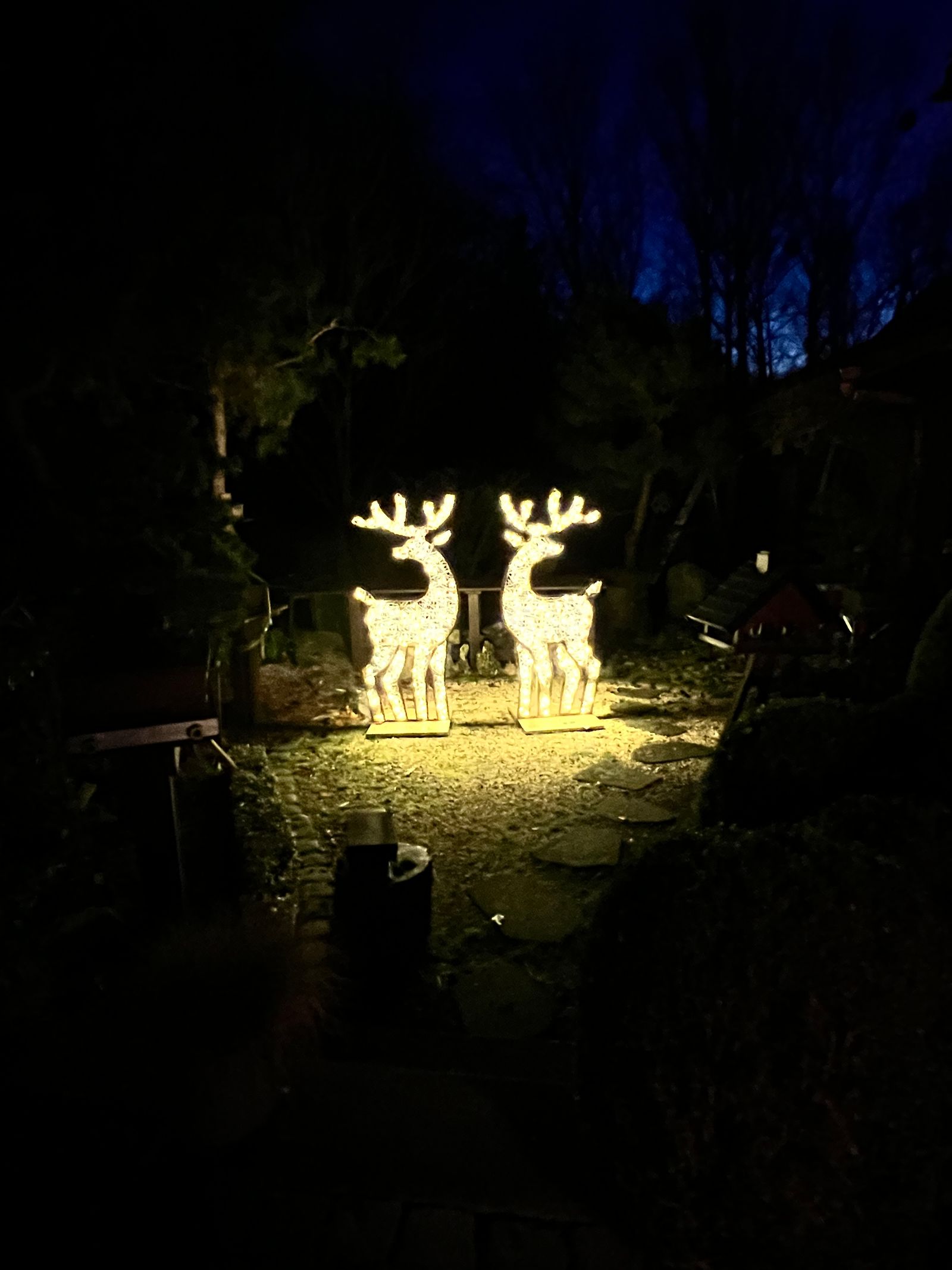 Kerstdecoratie-verlicht-rendier-Woodford (4).jpg