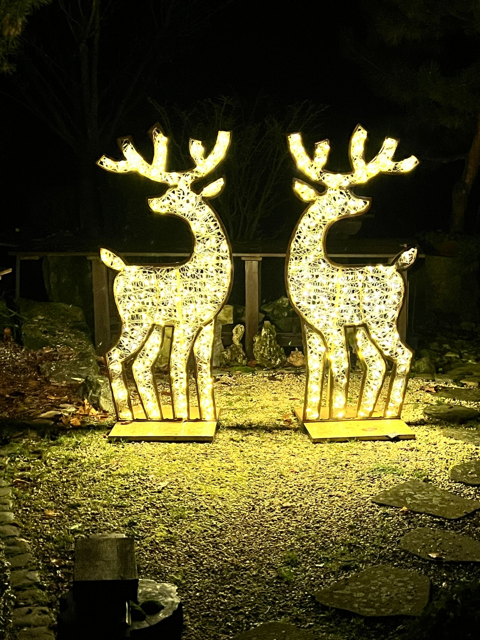 Kerstdecoratie-verlicht-rendier-Woodford (5).jpg