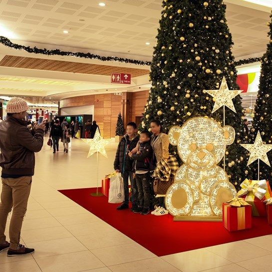 Kerstdecoratie-verlichte-beer-farington (5).jpg