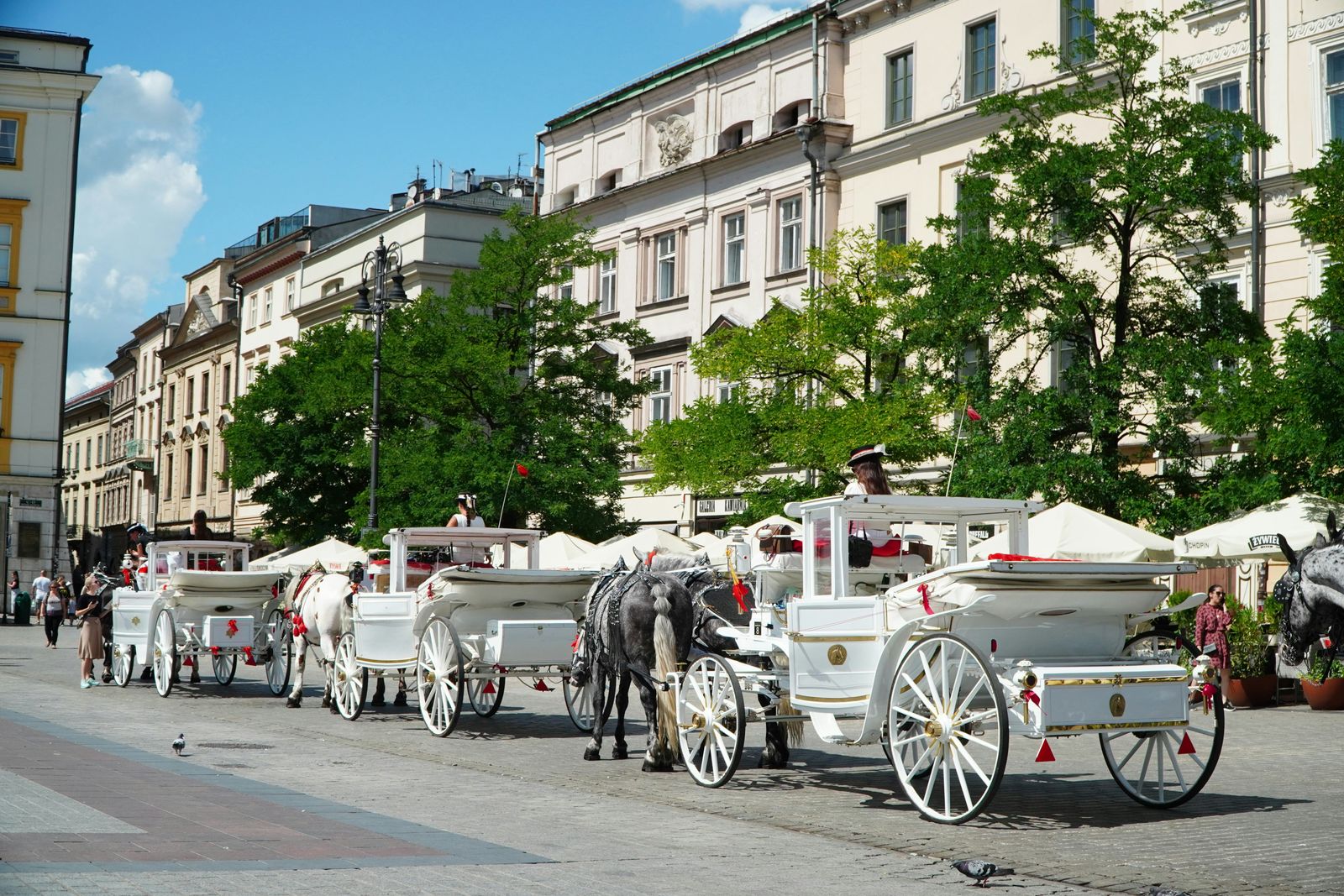 Schoolreis Krakau