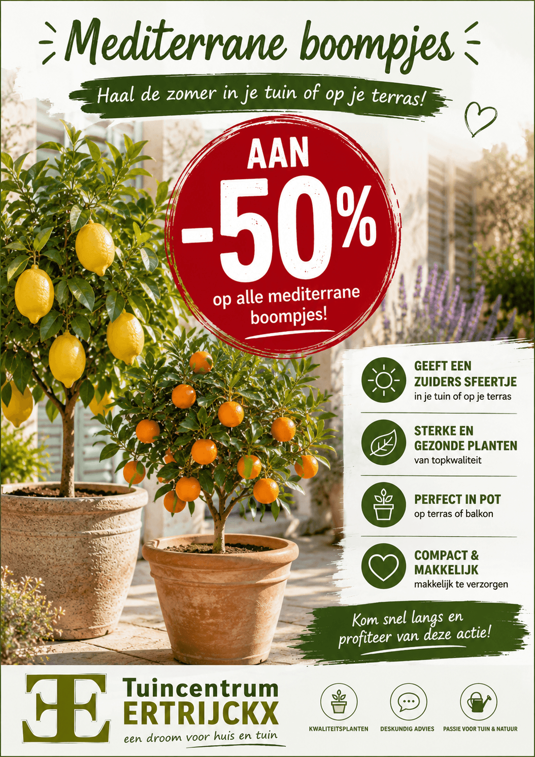 Mediterrane boompjes aan -50%: haal de zomer naar je tuin!