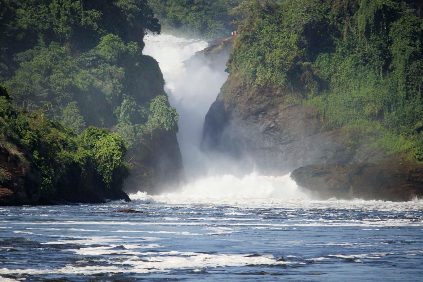 Oeganda Explorer: 13-daagse safari met gorilla’s en chimpansees
