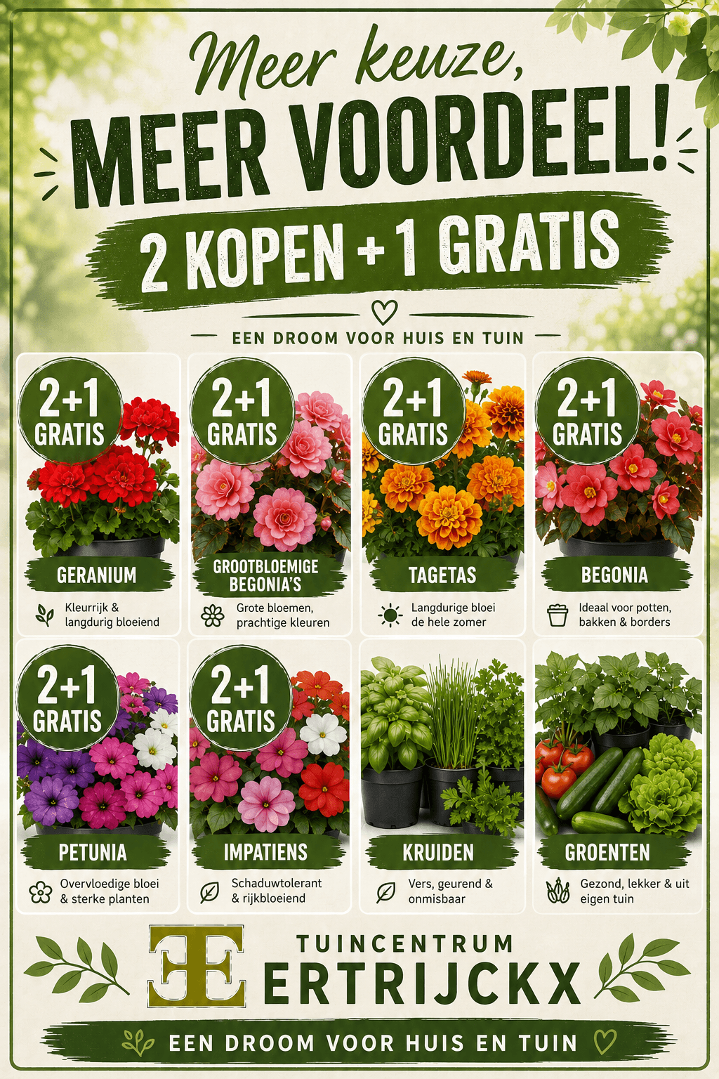 Meer Voordeel in de Tuin: 2 Kopen + 1 Gratis bij Tuincentrum Ertrijckx!
