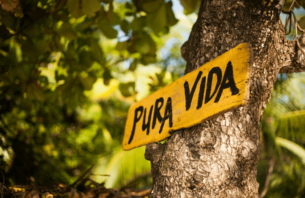 Rondreis Costa Rica: Eco-lodges, Nationaal Parken & Huurwagen Avontuur