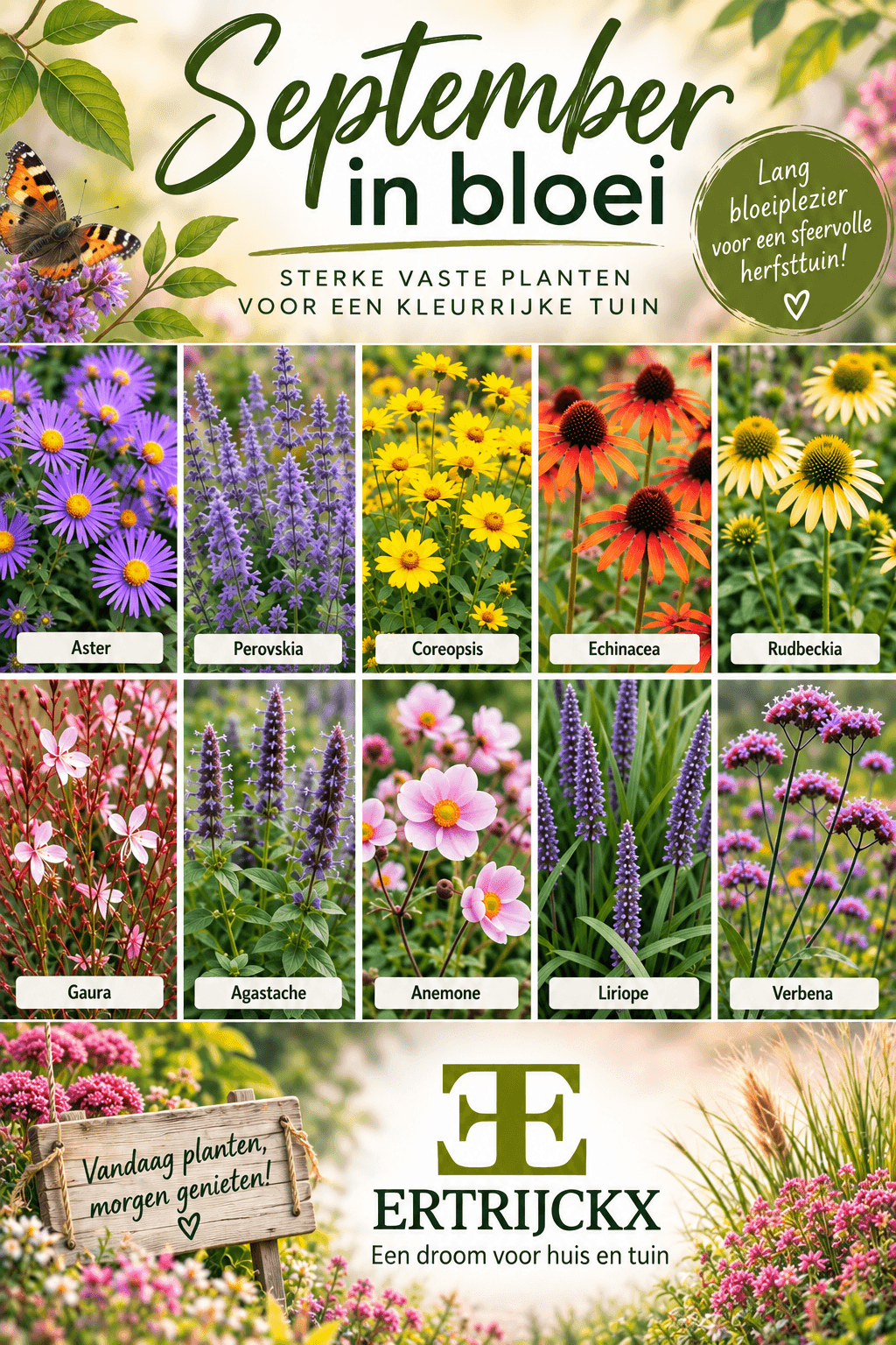 September in bloei: vaste planten voor een kleurrijke herfsttuin
