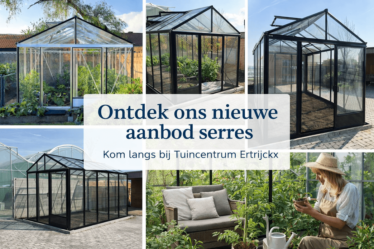 Ontdek ons nieuwe aanbod serres: stijl, kwaliteit en eindeloze mogelijkheden