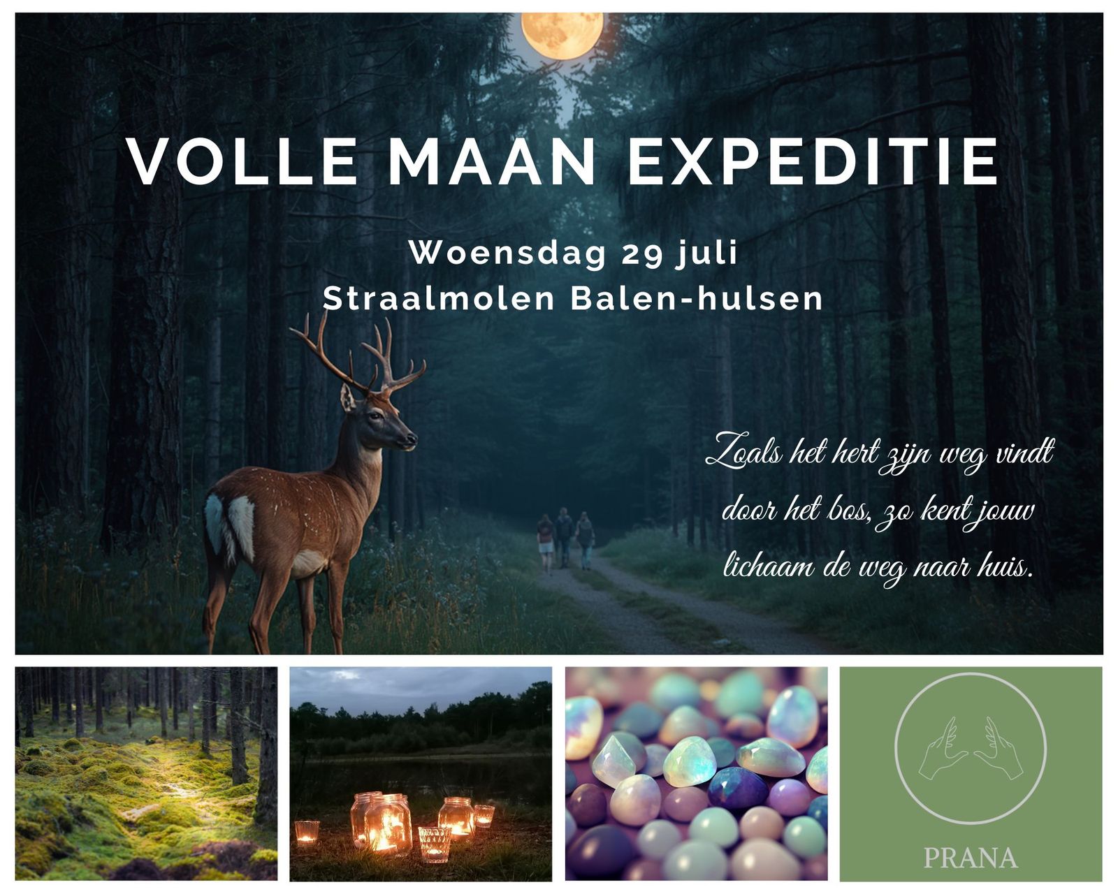Volle Maan Expeditie – Hertenmaan - woensdag 29 juli