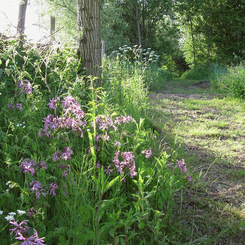 WB-PNL-lente-in-gebied-Egoven.jpg