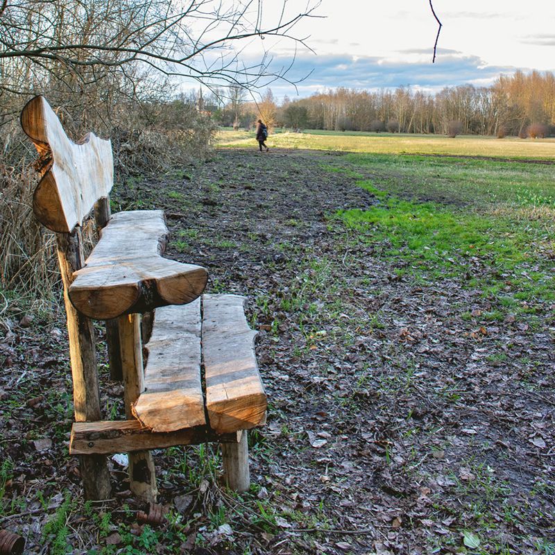 WB-Wandeling-door-natuurgebied-Egoven©Gert-Hermans.jpg