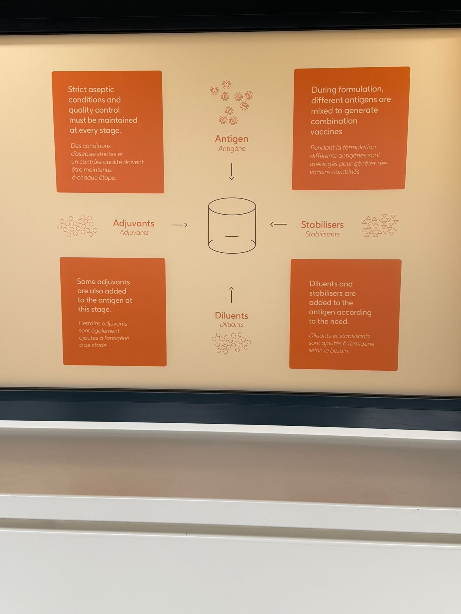 WhatsApp Image 2026-01-23 at 15.08.13 (1).jpeg