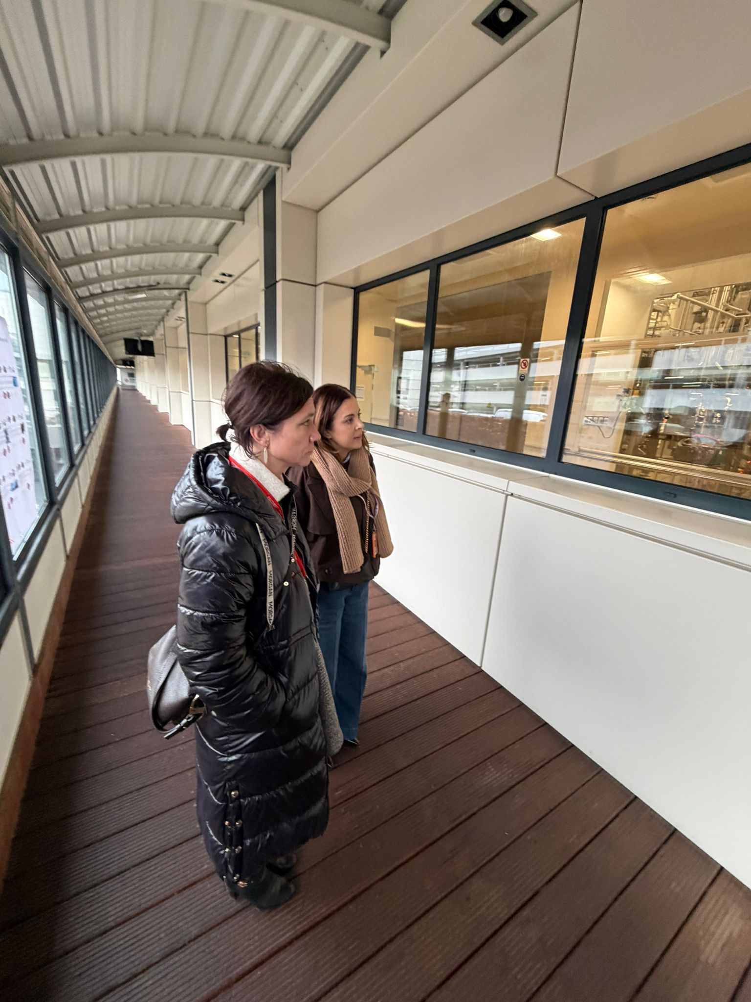 WhatsApp Image 2026-01-23 at 15.08.14 (6).jpeg