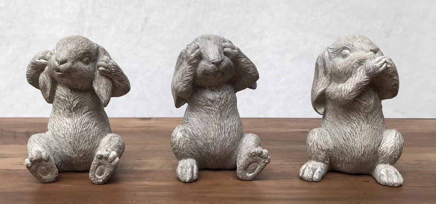 Haasjes horen, zien en zwijgen