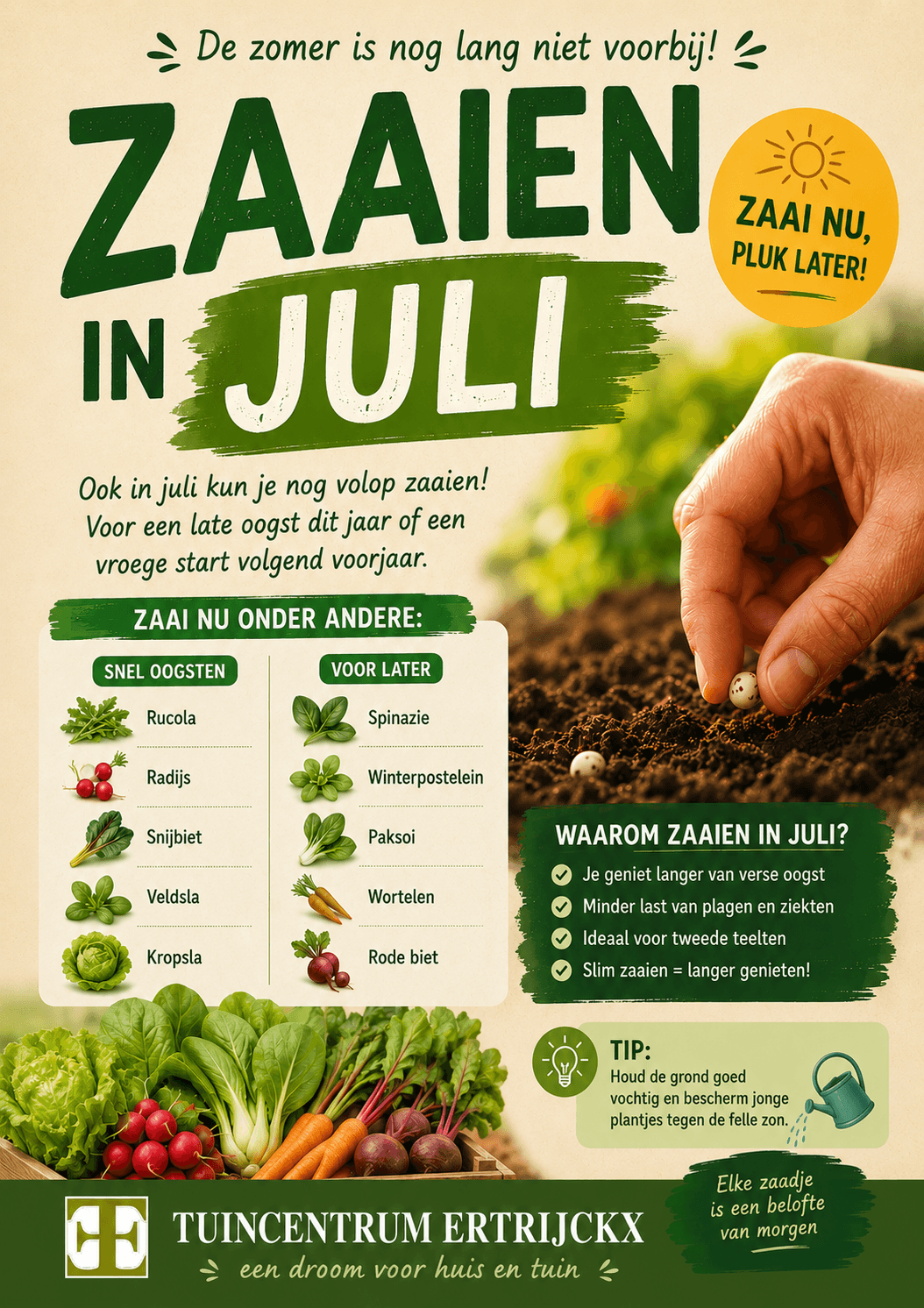 Zaaien in juli? Absoluut!