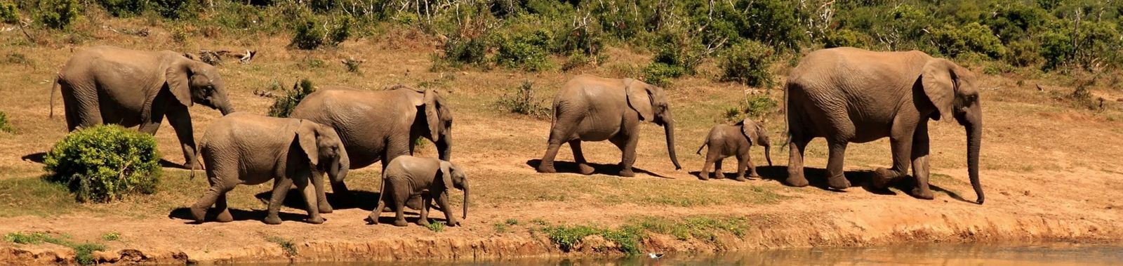 Reizen naar Zuid-Afrika | Ontdek de veelzijdigheid van Afrika's parel